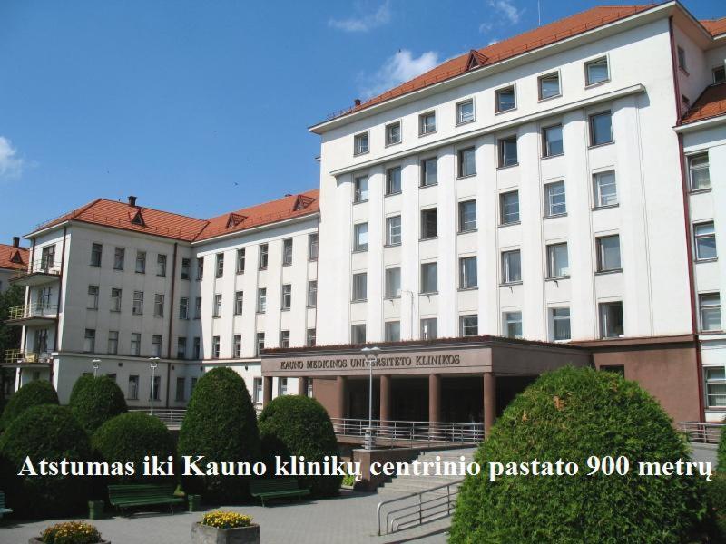 Comfy Patogus Namai Kaunas Exterior foto